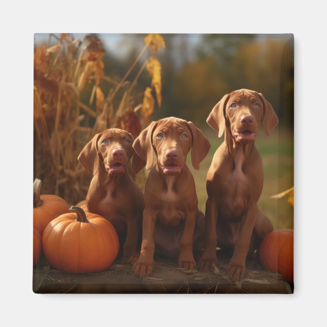 Íman Vizsla Puppy Autumn Delight Pumpkin (Frente)