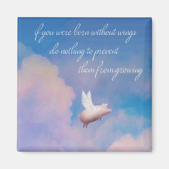 íman voador (Frente)