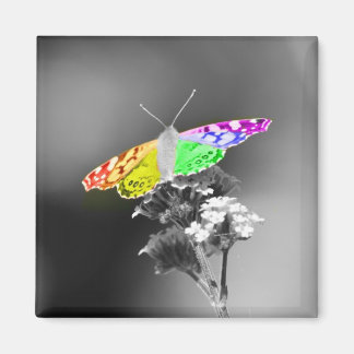 Íman Voando com orgulho