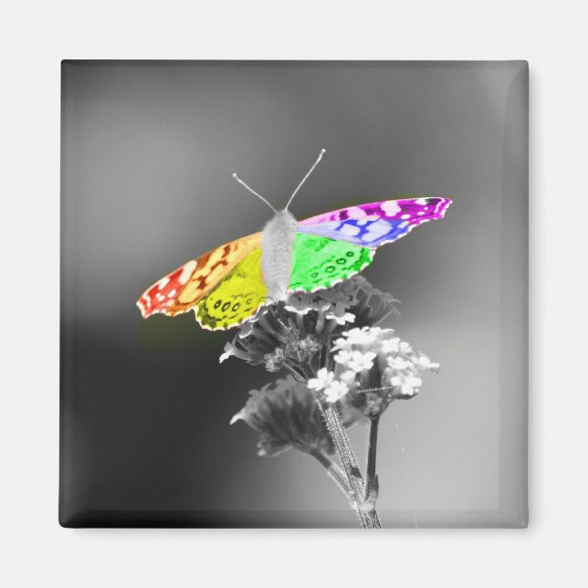 Íman Voando com orgulho (Frente)