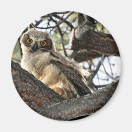 Íman Você Ama Os Meus Olhos? -Íman