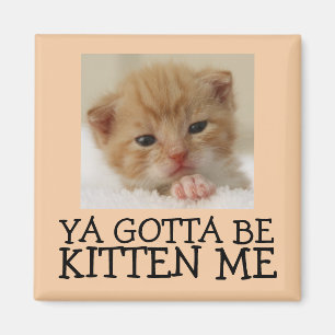 Íman Você deve ser Kitten me, Engraçados Magnets