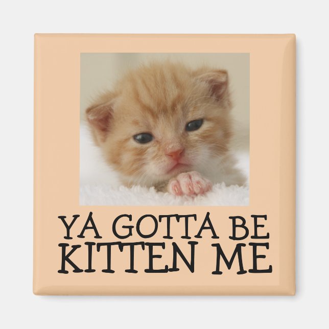 Íman Você deve ser Kitten me, Engraçados Magnets (Frente)