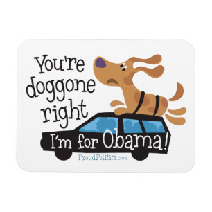 Íman Você é doggone direito mim é para Obama!