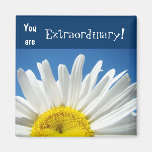 Íman Você é extraordinário! ímanes Blue Sky Daisy