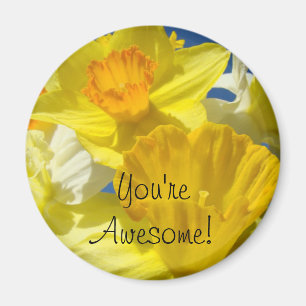 Íman Você é Incrível! ímãs Amarelo Flores de Narciso