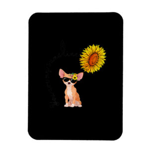 Íman Você É Meu Chihuahua Sunshine