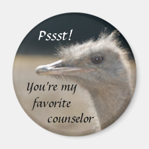 Íman Você é meu conselheiro favorito - ímã