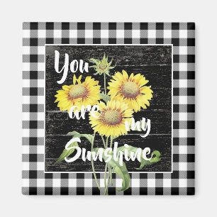 Íman Você é meu ímã de sol