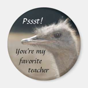 Íman Você é meu professor favorito - ímã