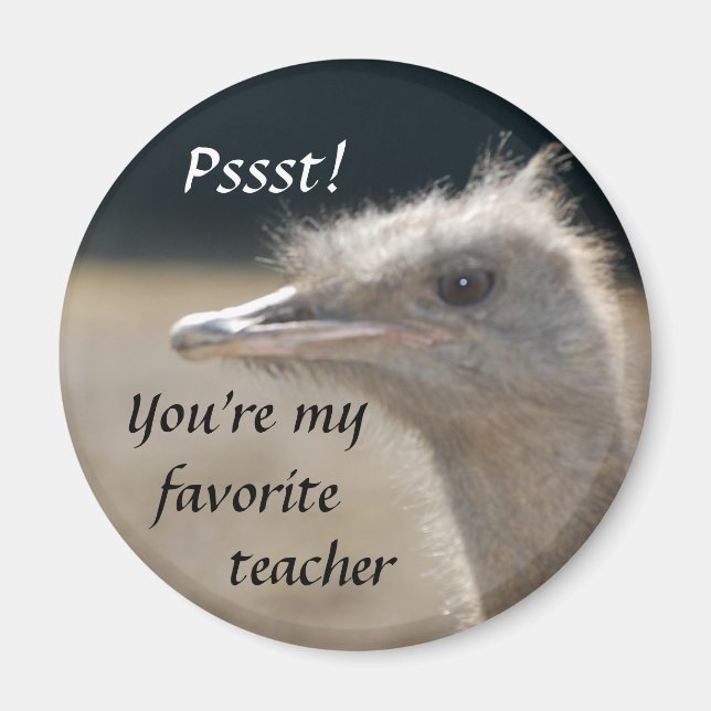 Íman Você é meu professor favorito - ímã (Frente)