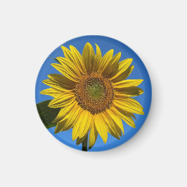 Íman Você É Meu Sol.