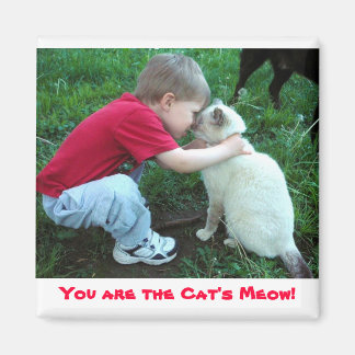 Íman Você é o imã do gato!