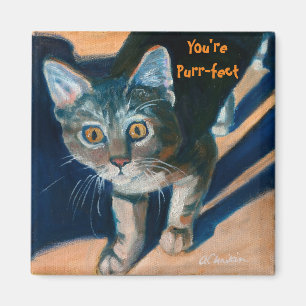 Íman Você é o Purr-fect