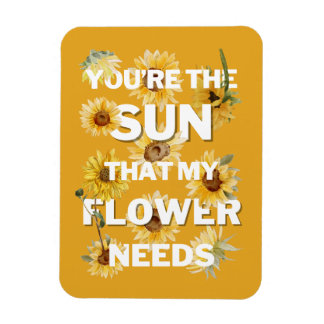 Íman Você É O Sol Que Minha Flor Precisa