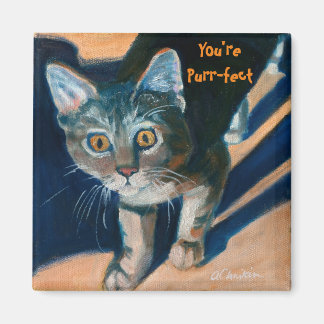 Íman Você é Purr-Efeito