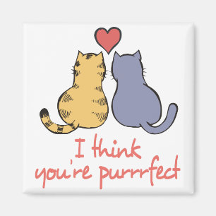 Íman Você é Purrfect