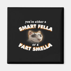 Íman Você É Um Gato Esperto Ou Um Fart Smella Meme