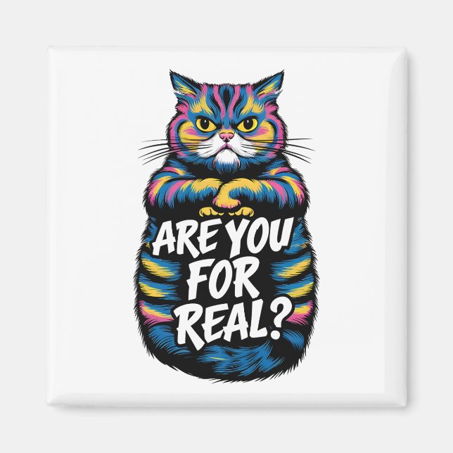 Íman Você É Um Gato Muito Engraçado. (Frente)