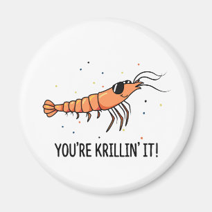 Íman Você está Krillin É um Trocadilho de Krill Engraça