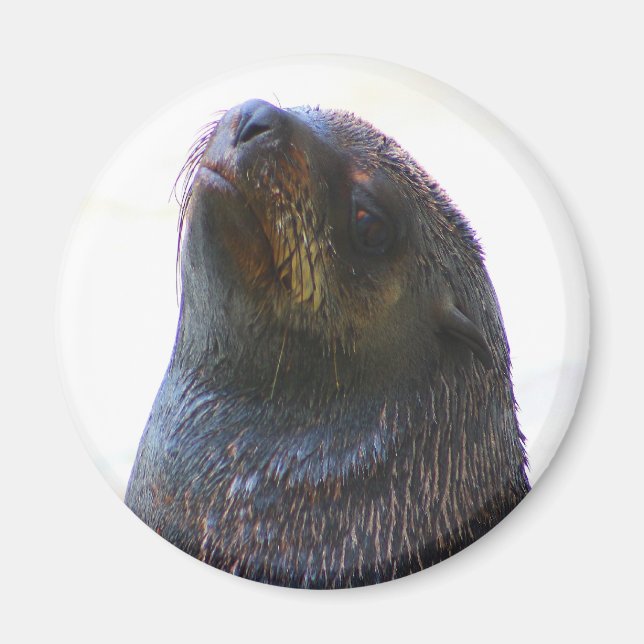 Íman Você está me olhando! (Frente)