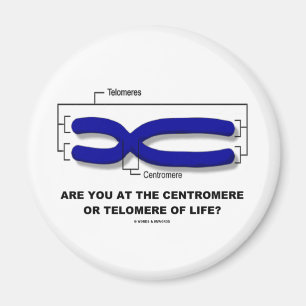 Íman Você Está No Centromere Ou Telomere Da Vida?