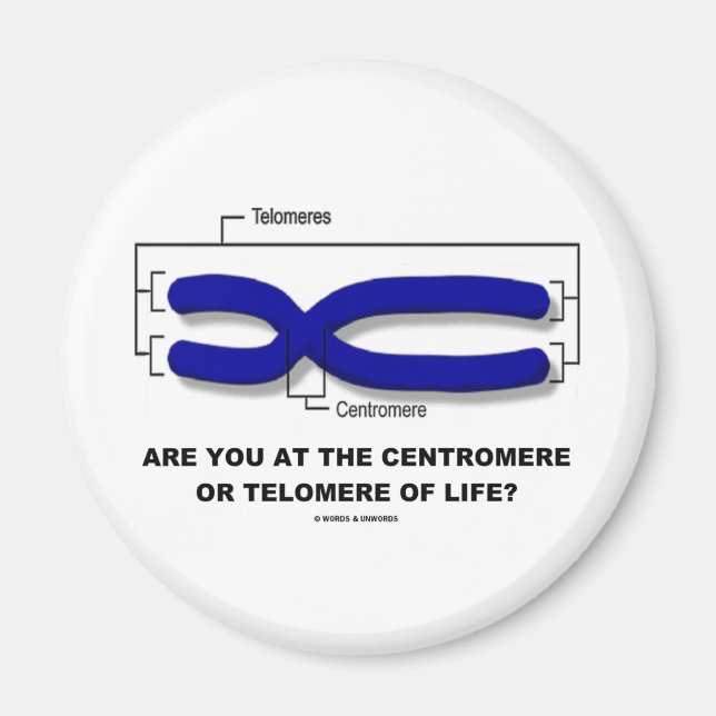 Íman Você Está No Centromere Ou Telomere Da Vida? (Frente)