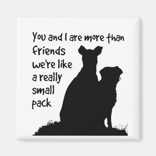 Íman Você & I mais do que amigos nós somos como um