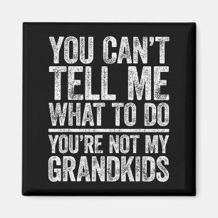 Íman Você Não Pode Me Dizer O Que Fazer Você Não É Meu
