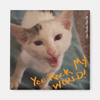 Íman Você Rock My World! Um imã gatinho