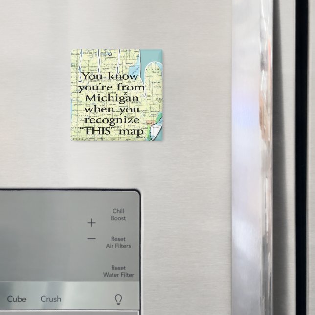 Íman Você sabe que é de Michigan quando você reconhece (In Situ (Fridge))
