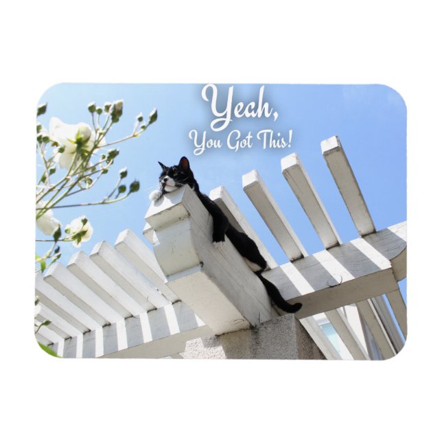 Íman Você Tem Este Slogan Motivacional Cat (Horizontal)