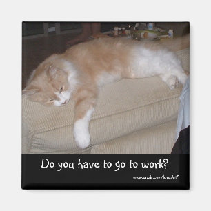 Íman Você tem que ir trabalhar?