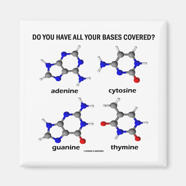 Íman Você Tem Todas As Suas Bases Cobertas? (DNA Bases) (Frente)