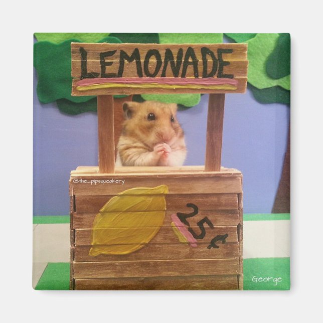 Íman Você Vai Comprar Uma Limonada? Bonito, por favor? (Frente)