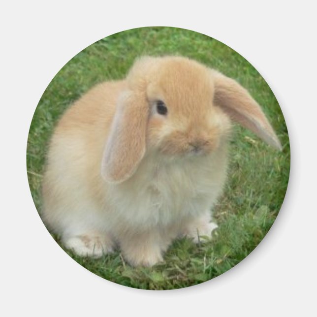 Íman vômito (Frente)