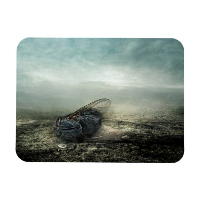 Íman Voo 2013 (Horizontal)