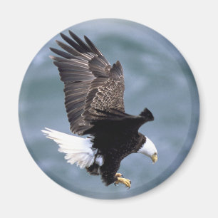 Íman Vôo de Eagle