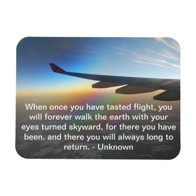 Íman Voo do avião contra Colorida Setting Sun (Horizontal)