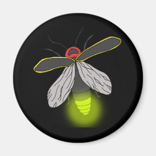 Íman vôo do inseto de relâmpago iluminado