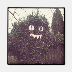 Íman Voodoo Bush