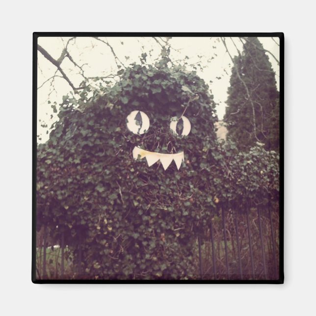 Íman Voodoo Bush (Frente)