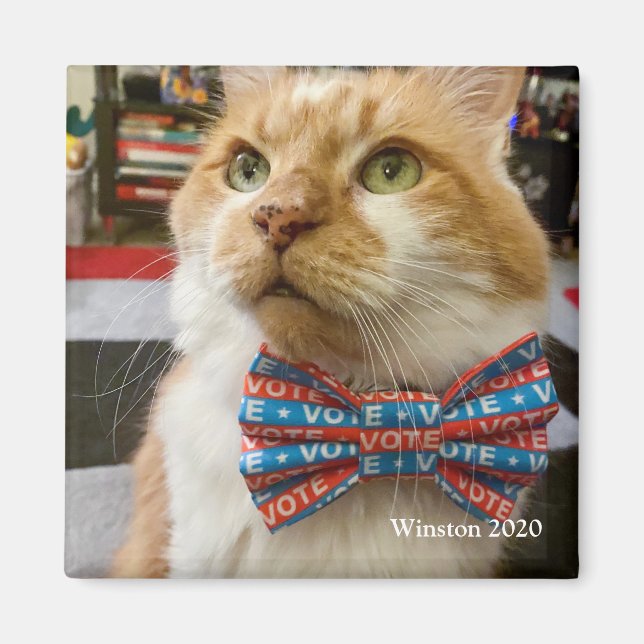 Íman Votar Winston (Frente)