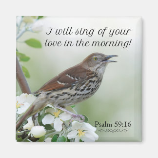 Íman Vou cantar do seu amor!