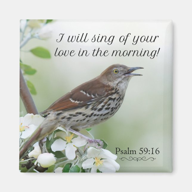 Íman Vou cantar do seu amor! (Frente)