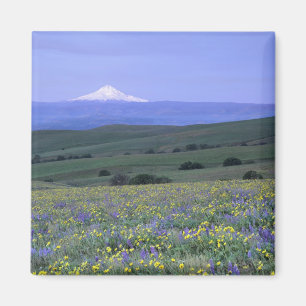 Íman WA, Condado de Klickitat, Dalles Mountain Ranch,
