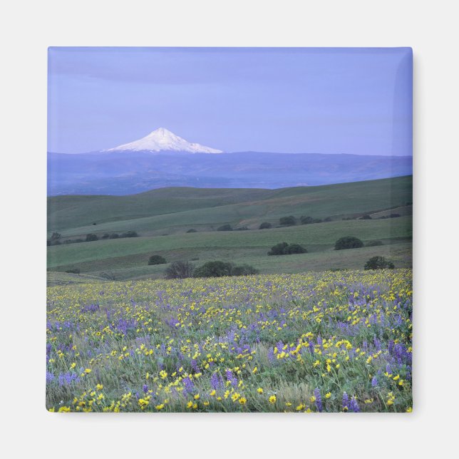 Íman WA, Condado de Klickitat, Dalles Mountain Ranch, (Frente)