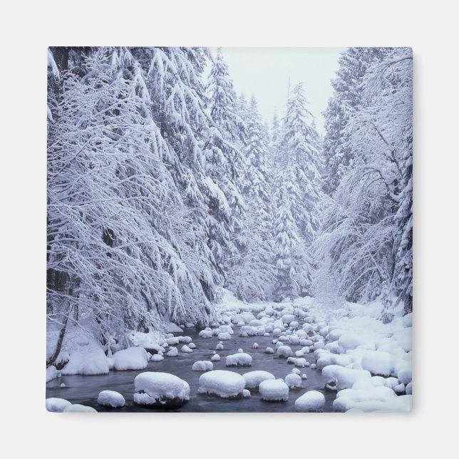 Íman WA, Monte Baker-Snoqualmie, Floresta Nacional, (Frente)