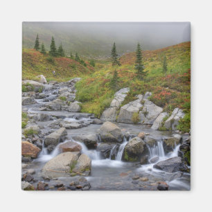 Íman WA, Parque Nacional Mt. Rainier, Edith Creek