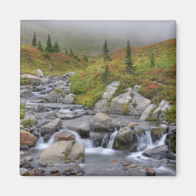 Íman WA, Parque Nacional Mt. Rainier, Edith Creek (Frente)